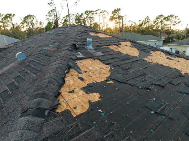 Best Roof Insulation Installation  in Yuba City, CA